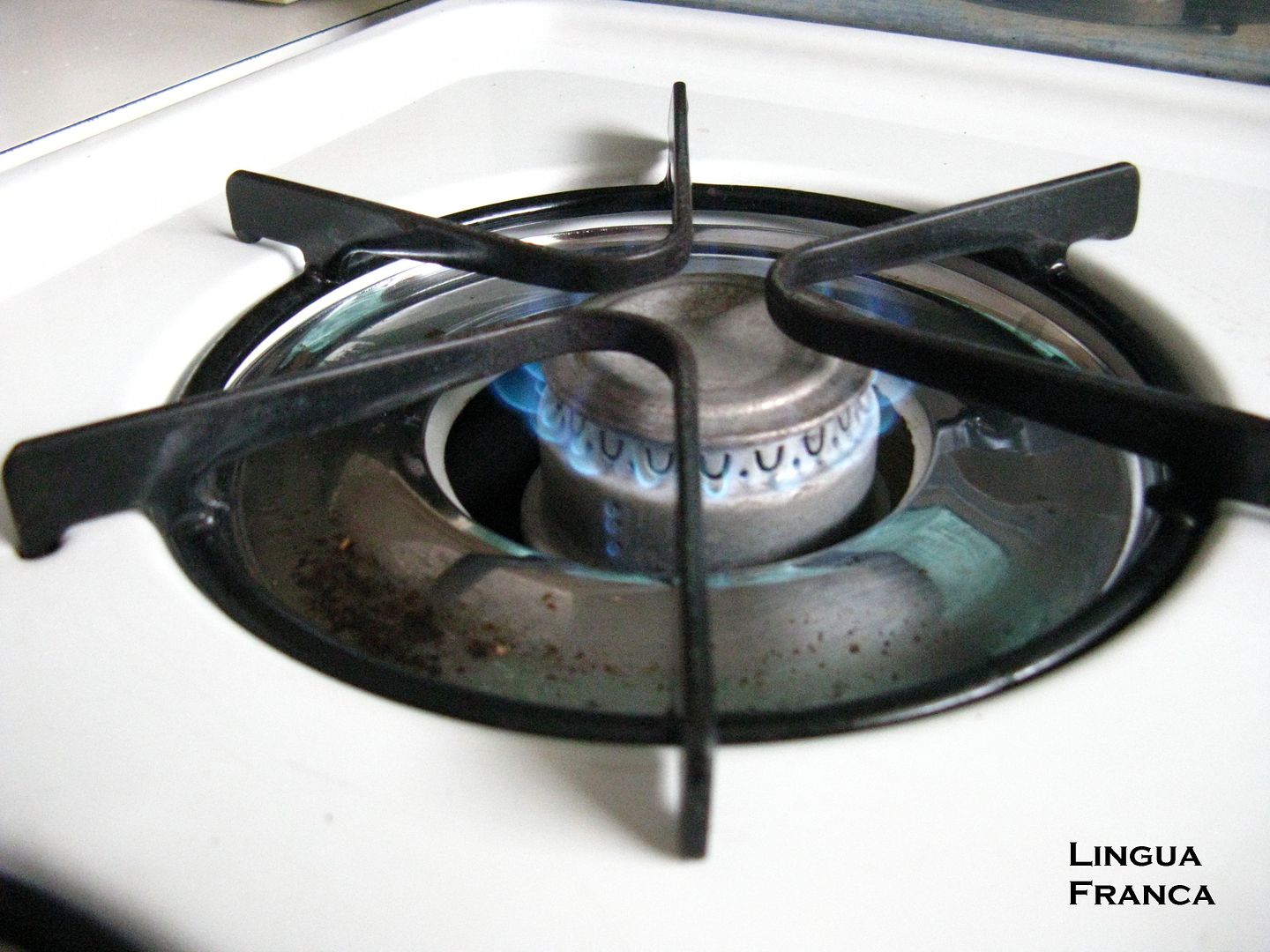 Putting It On the Back Burner Lingua Franca